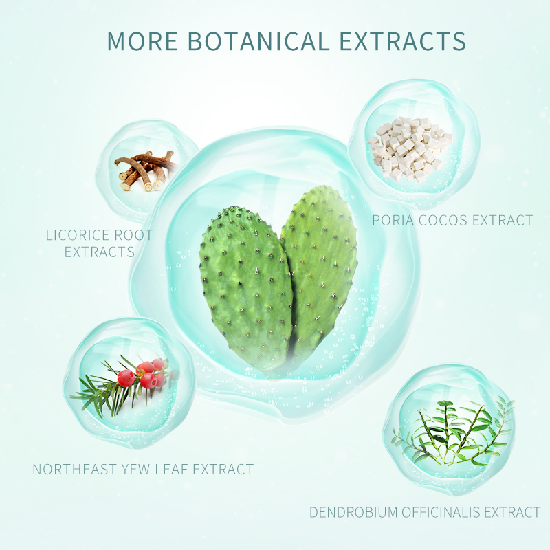 Plant Grow Cactus Light Hydrating Cleanser for Oily face Improve skin oil outside and dry inside,Deep clean for men and women(pic4) Plant Grow Cactus Light Hydrating Cleanser Improve skin oil outside and Dry inside,Deep clean for Men and Women(pic4)