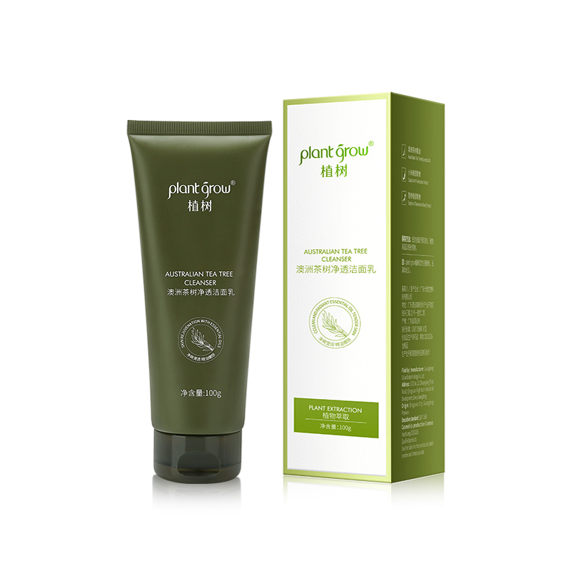 Plant grow Australia Tea Tree 