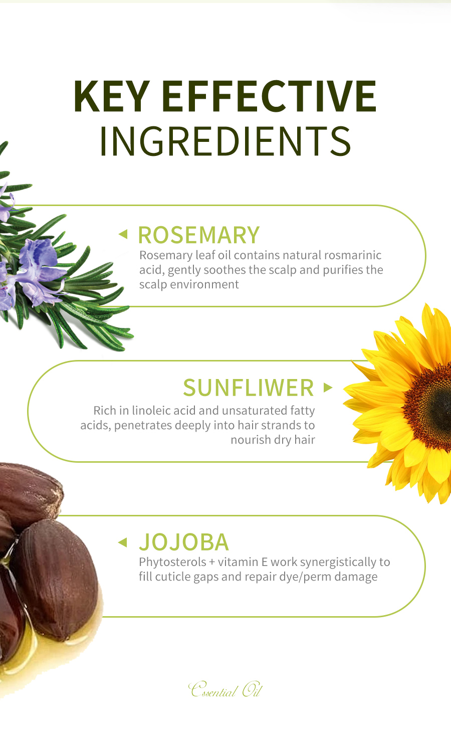 Icesea Rosemary and Mint Hair Essential Oil - Repairs Damaged Hair(pic4)