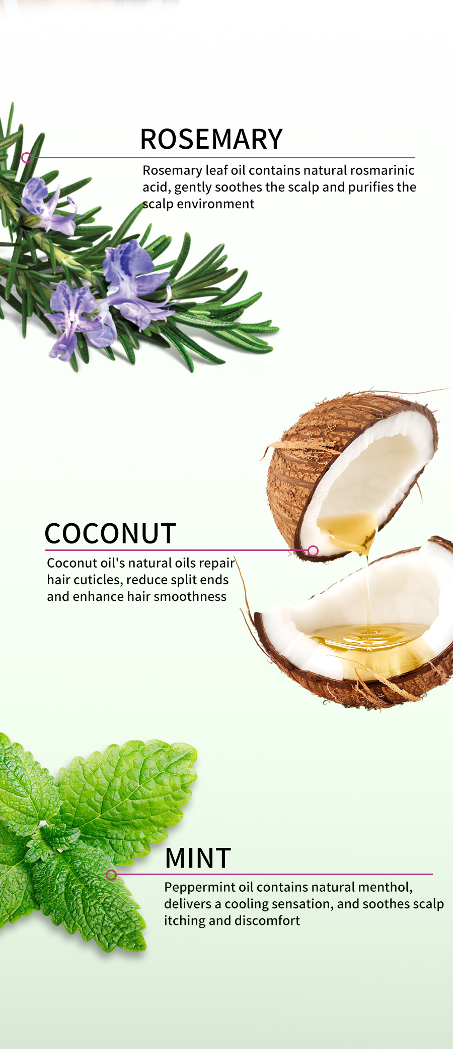 Greenlem Rosemary Mint Shampoo with Botanical Ingredients, Invigorating & Refreshing Scalp Care for Healthy Hair(pic4)