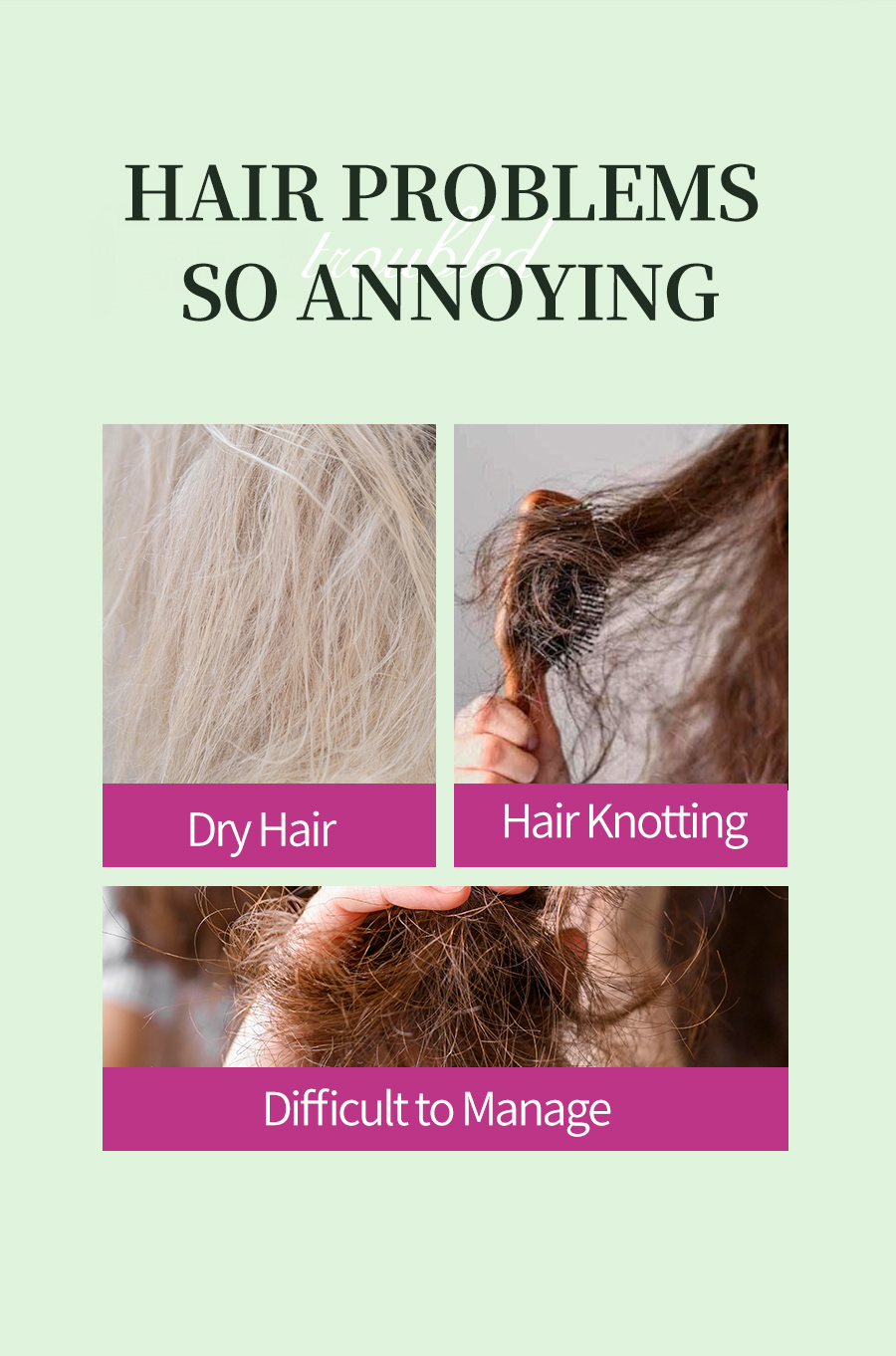 Greenlem Rosemary Mint Shampoo with Botanical Ingredients, Invigorating & Refreshing Scalp Care for Healthy Hair(pic2)